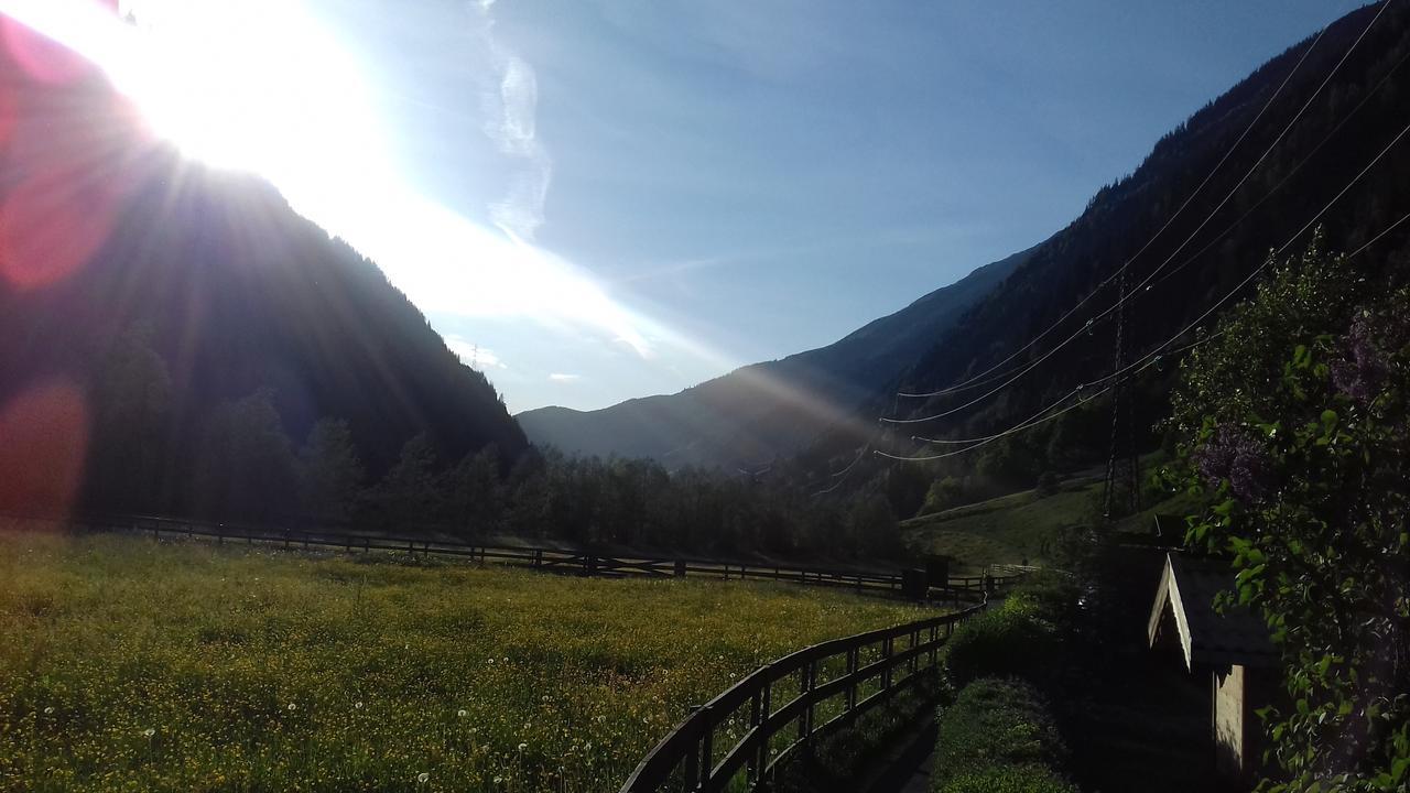 Gasthaus Haeusling Alm Hotel Mayrhofen Kültér fotó